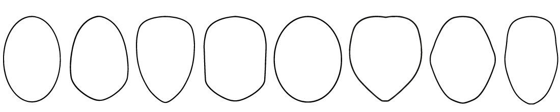 forma-del-viso-consulenza